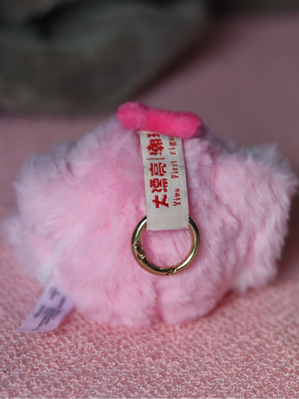 KIMIPAPA - Picture 7 of 10